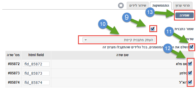 עריכת פרטי לשונית התממשקות